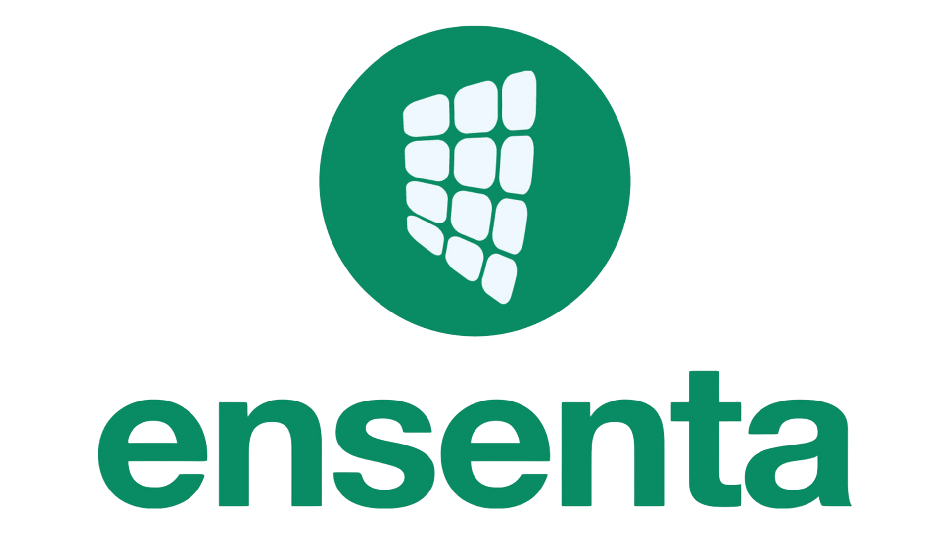 Ensenta